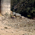 DSCF0239