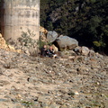DSCF0240