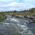 DSCF0332