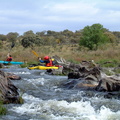 DSCF0333