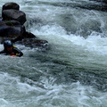 DSCF0017